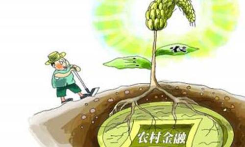 改革开放后的农村金融制度变迁与改革创新