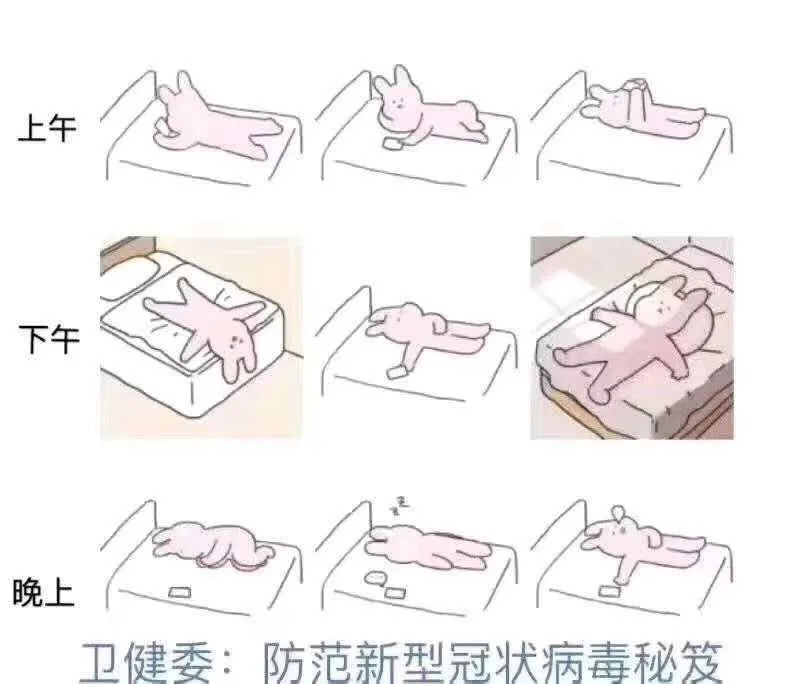 2020 鬼知道这一年经历了什么