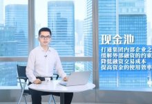 资金集中与现金池模式