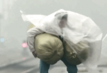 致房企：岁月杀猪也杀人